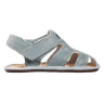 Janu variant