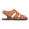 Janu variant