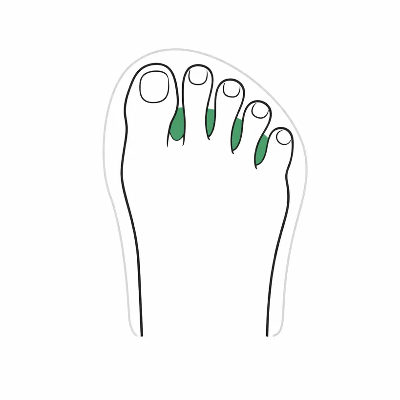 Natural toe splay and foot-shaped outline